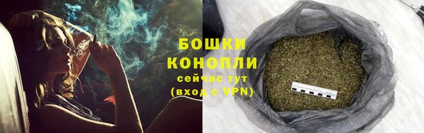 PSILOCYBIN Бородино