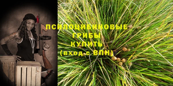 амф Бронницы