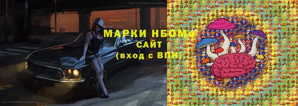 PSILOCYBIN Бородино