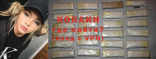 PSILOCYBIN Бородино